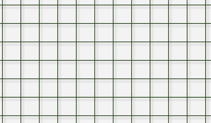 GALVANIZED WELDED WIRE MESH WITH PVC COATING